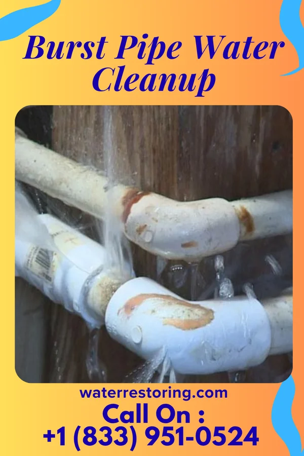 Burst Pipe Water Cleanup in Richmond, MI