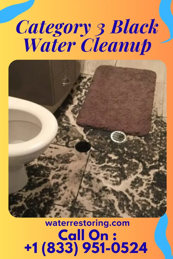 Category 3 Black Water Cleanup in Richmond, MI