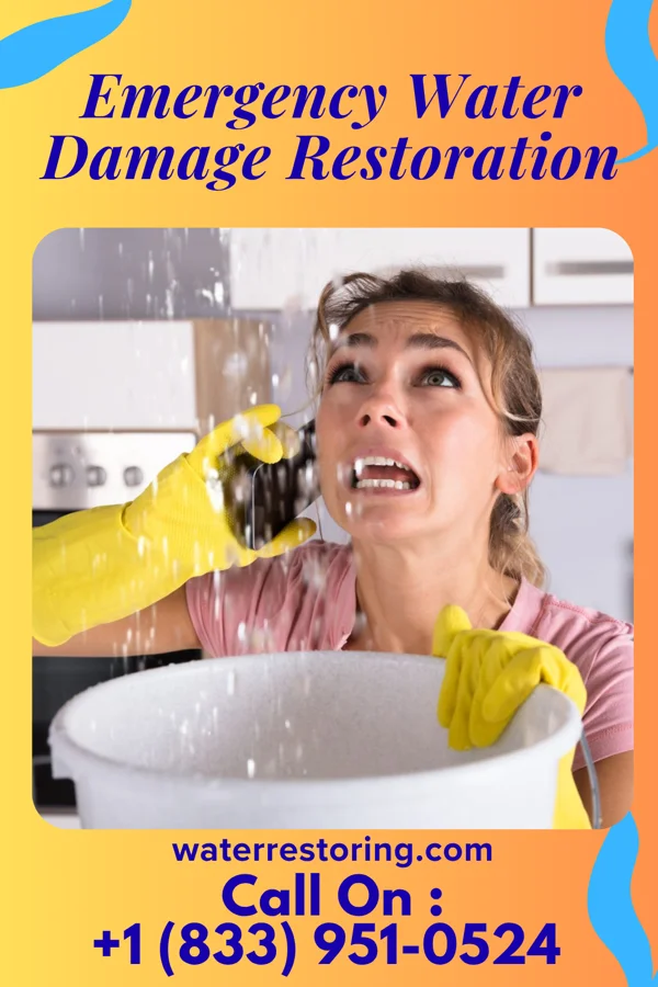Emergency Water Damage Restoration in Richmond, MI