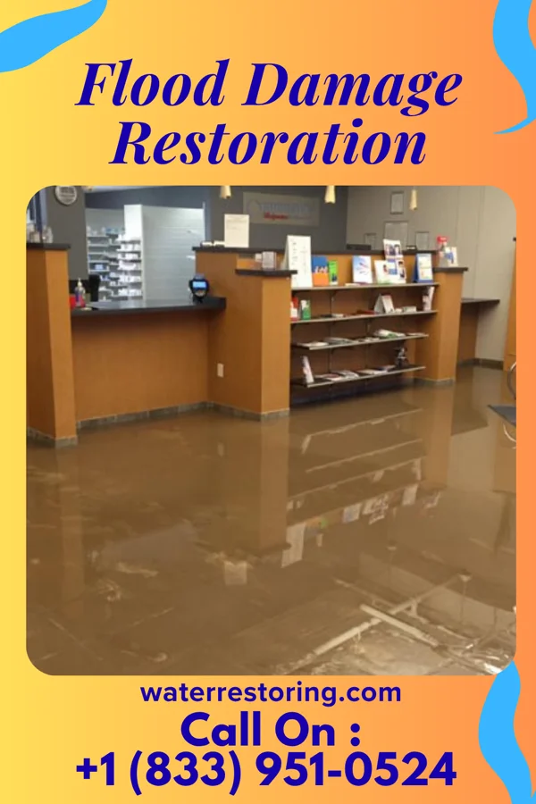 Flood Damage Restoration in Richmond, MI