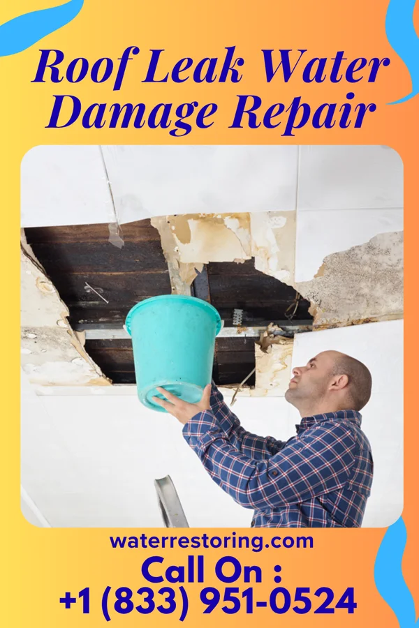 Roof Leak Water Damage Repair in Richmond, MI