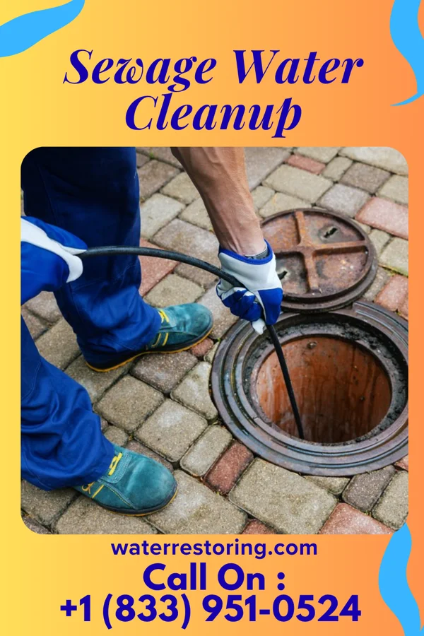 Sewage Water Cleanup in Richmond, MI